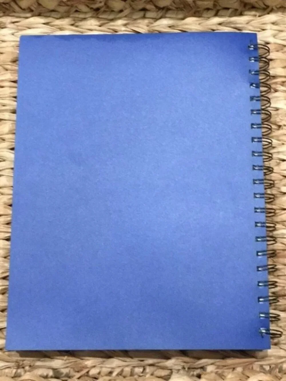 Power Place Personal Daily Planner‎ Non-Dated 6 Months 8.5x11 Blue